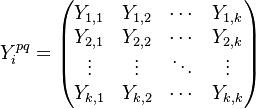 
    \begin{align}
        Y^{pq}_{i} =
        \begin{pmatrix}
          Y_{1,1} & Y_{1,2} & \cdots & Y_{1,k} \\
          Y_{2,1} & Y_{2,2} & \cdots & Y_{2,k} \\
          \vdots  & \vdots  & \ddots & \vdots  \\
          Y_{k,1} & Y_{k,2} & \cdots & Y_{k,k}
        \end{pmatrix}
    \end{align}

