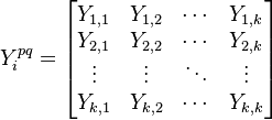 
    \begin{align}
        Y^{pq}_{i} =
        \begin{bmatrix}
          Y_{1,1} & Y_{1,2} & \cdots & Y_{1,k} \\
          Y_{2,1} & Y_{2,2} & \cdots & Y_{2,k} \\
          \vdots  & \vdots  & \ddots & \vdots  \\
          Y_{k,1} & Y_{k,2} & \cdots & Y_{k,k}
        \end{bmatrix}
    \end{align}
